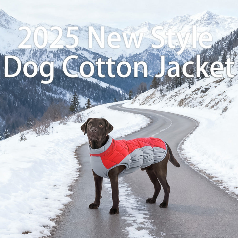 Pet Coat Imperméable Puppy Windproof Petits et moyens chiens