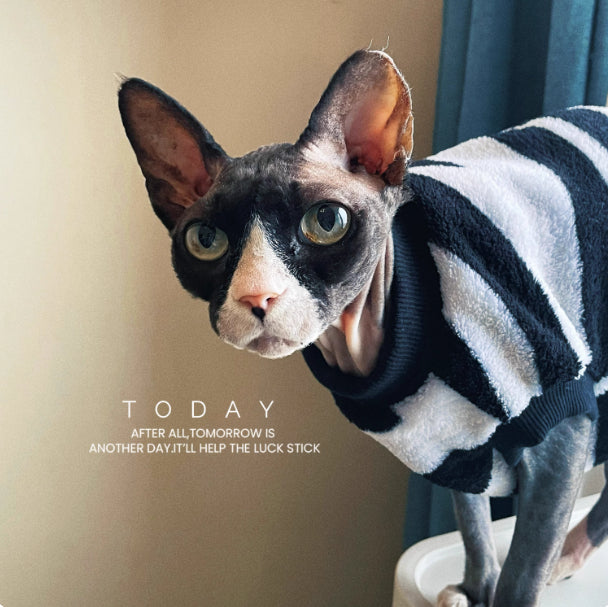 Sphynx Chat chaud Sweater Zebra Stripe Pattern Soft Skin Friendly Vêtements pour chats sans cheveux