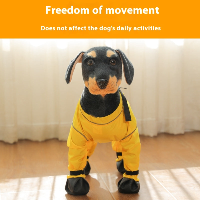 Pantalons anti-salissure de chien Couverture de chaussures de sortie