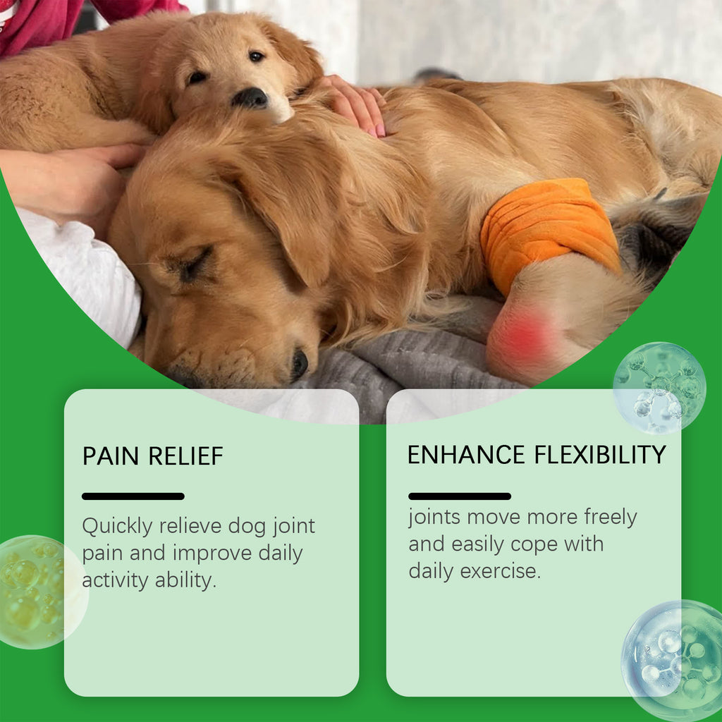 Chien Glucosamine Hip Mâches articulaires