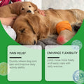 Chien Glucosamine Hip Mâches articulaires