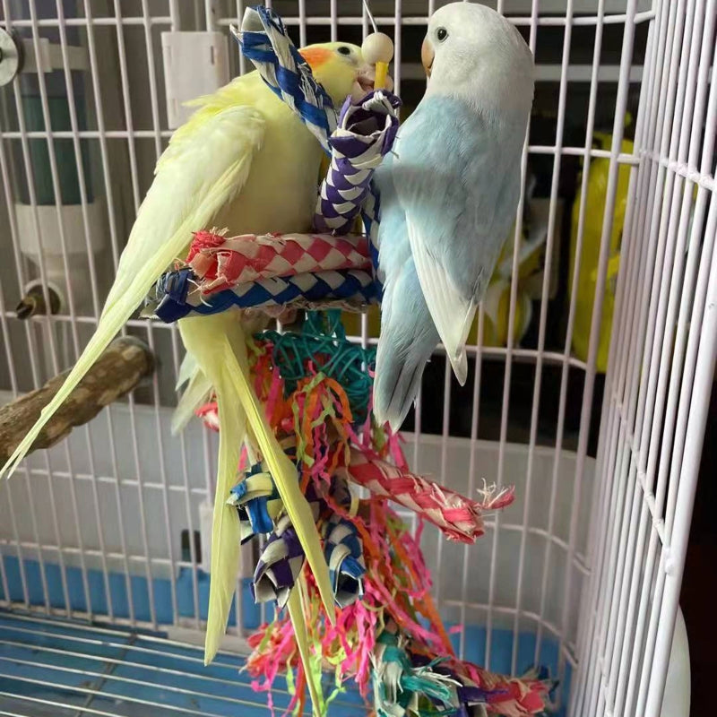 Parrot Jouet Boisseau tissé à la main Borédom Cage Fournitures