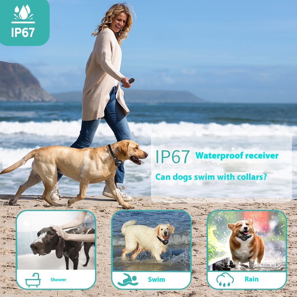 Modes d'entraînement multiples Smart 3-en-1 Dog Trainer Bark Stopper