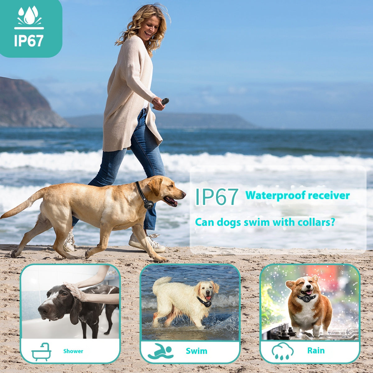 Modes d'entraînement multiples Smart 3-en-1 Dog Trainer Bark Stopper