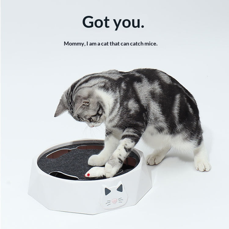 Jouet électrique pour animaux de compagnie pour chats en peluche Little Mouse Cat