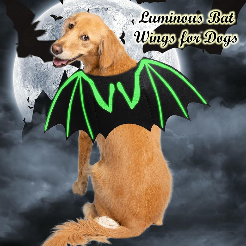 Chien Halloween costumes Chien Bat costume Cool Lumineux Skeleton Bone Bat Ailes Animaux Cosplay