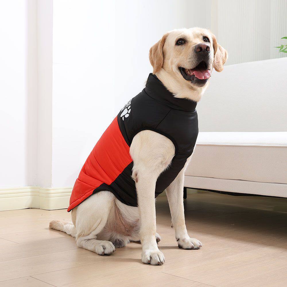 Veste de coton résistant au vent et au froid