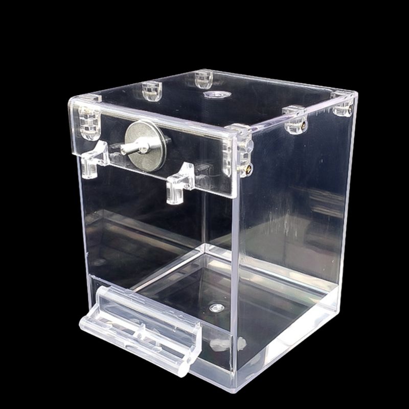 Fournitures externes pour animaux de compagnie