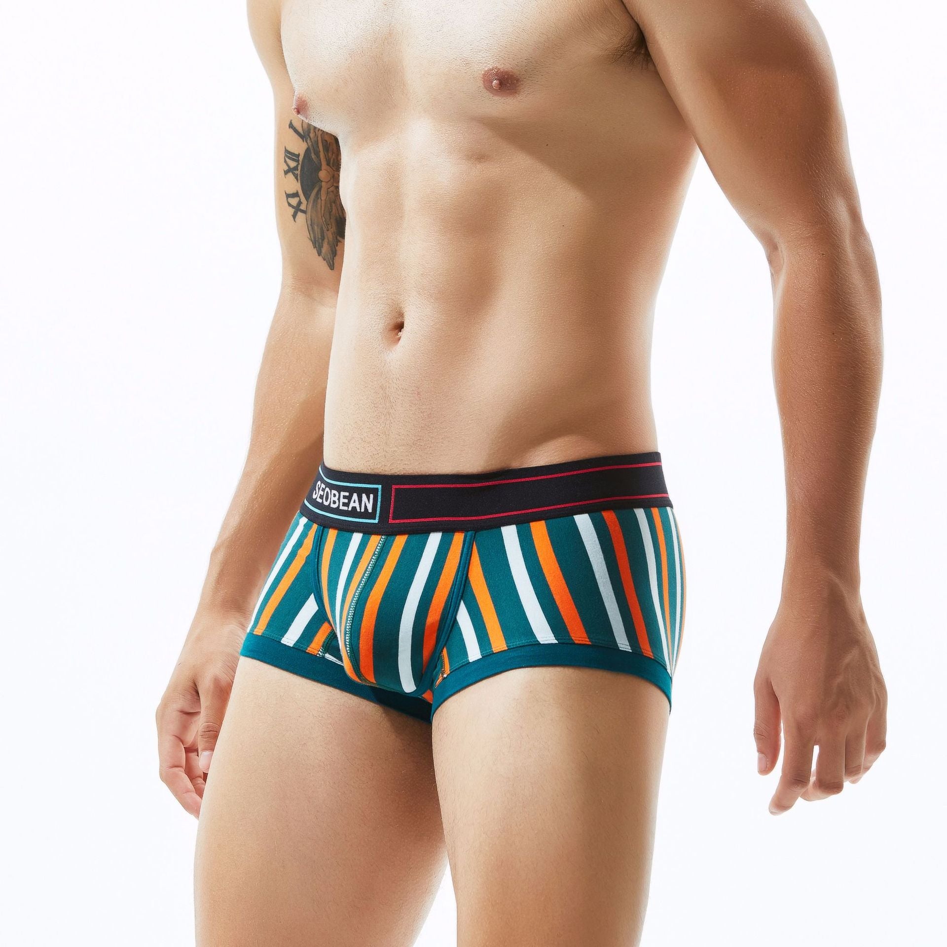 Sous-vêtements Homme rayé Rainbow Sport Boxer