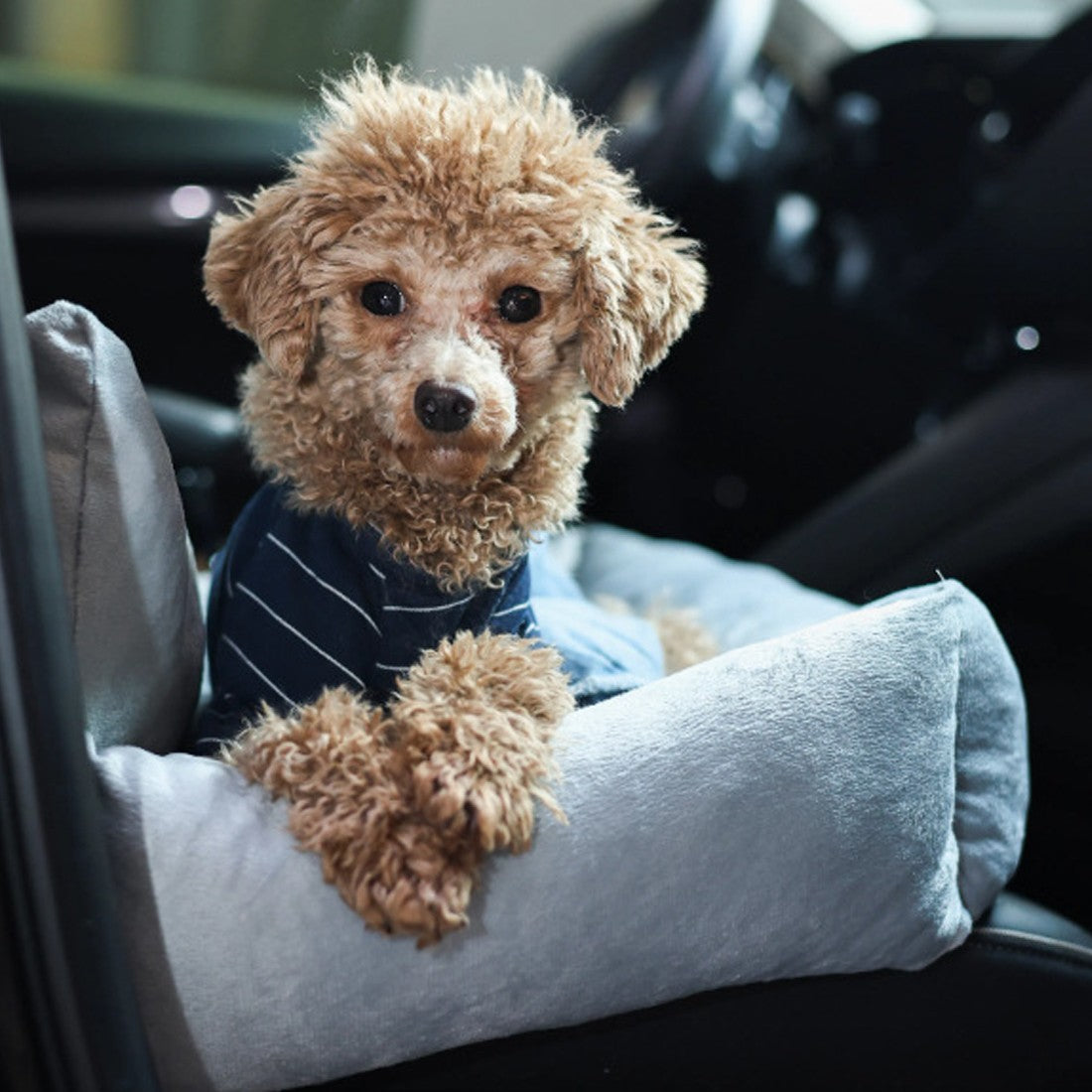 Siège de voiture de chien Booster Soft Plush Travel Bed Lavable Pet Siège de sécurité