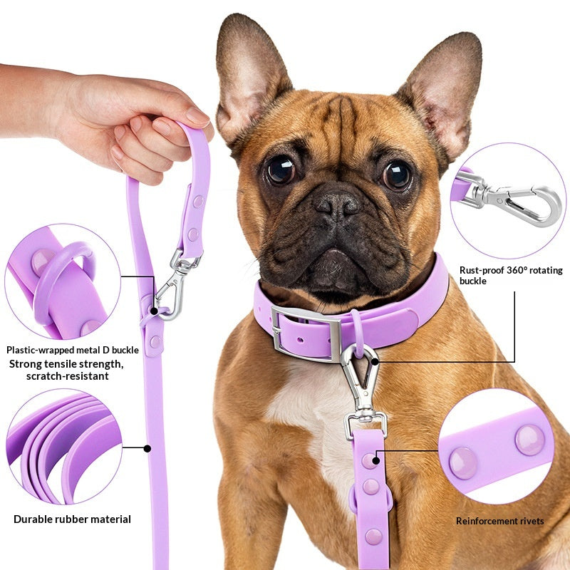 Collier de chien imperméable anti-strangulation Collier de chat