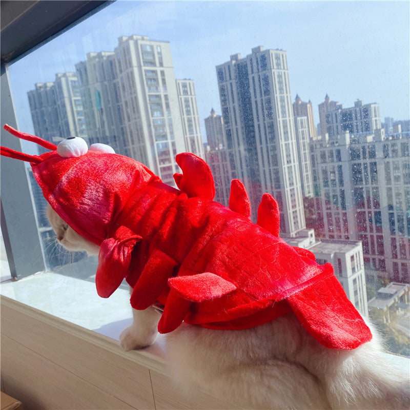 Halloween Cat Lobster Vêtements Année Noël