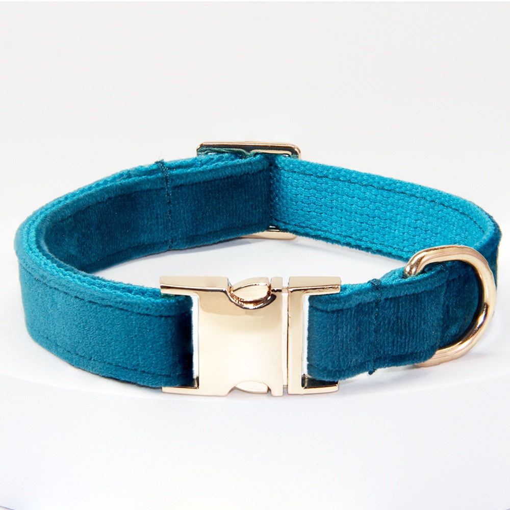 Collier de chien avec des lettres gravées