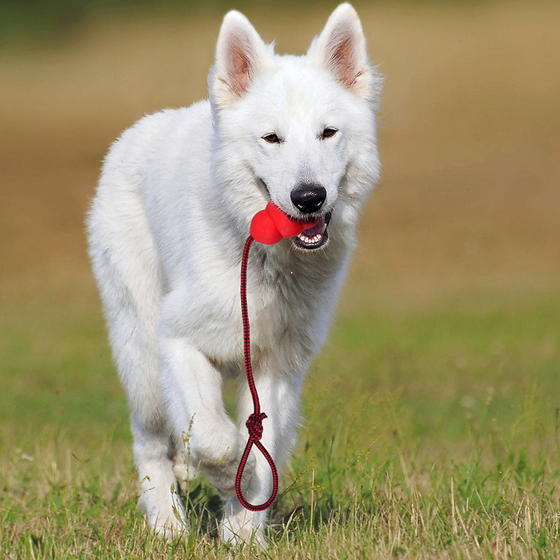 Jouet pour animaux Hoist en caoutchouc naturel