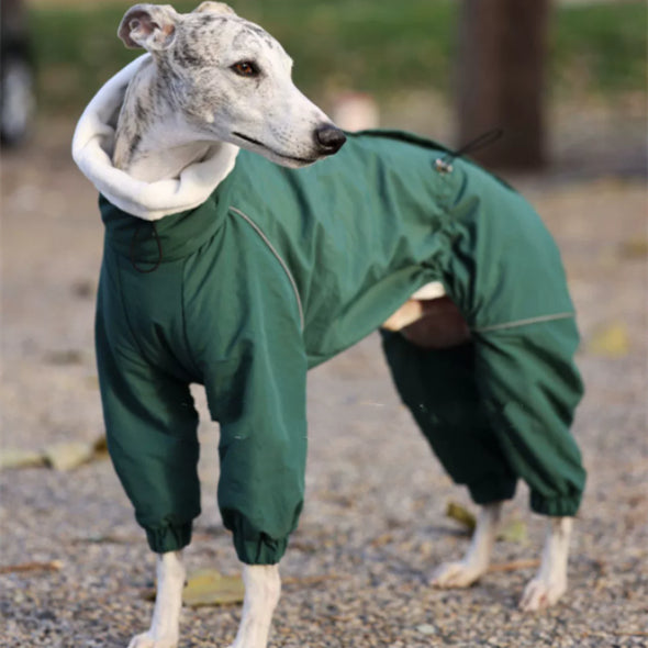 Pet Windbreaker avec veste rembourrée en coton Zipper