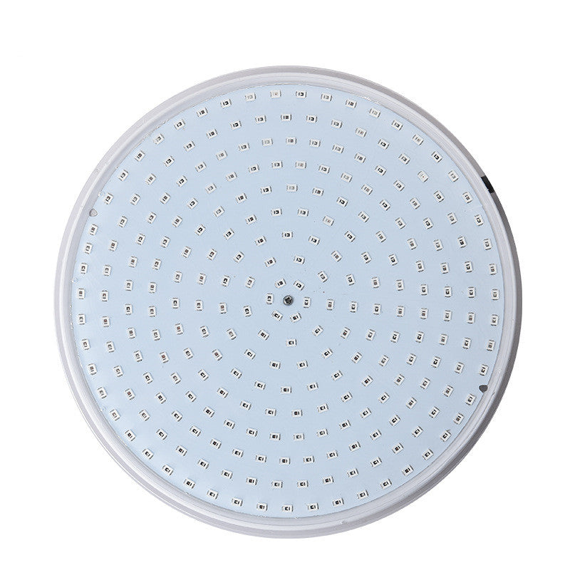 Lumière de la piscine