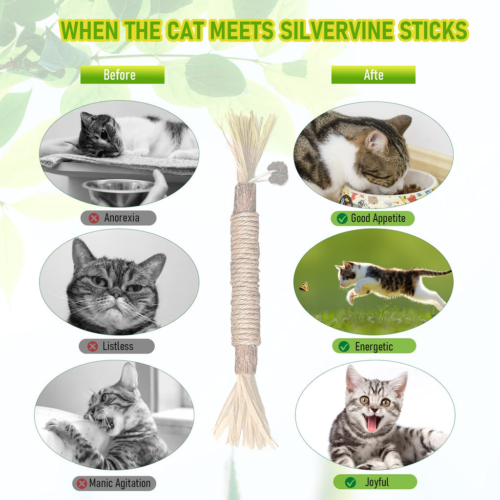 Silvervine Sticks Cat Chew Jouets pour les chats intérieurs soins dentaires nettoyage des dents