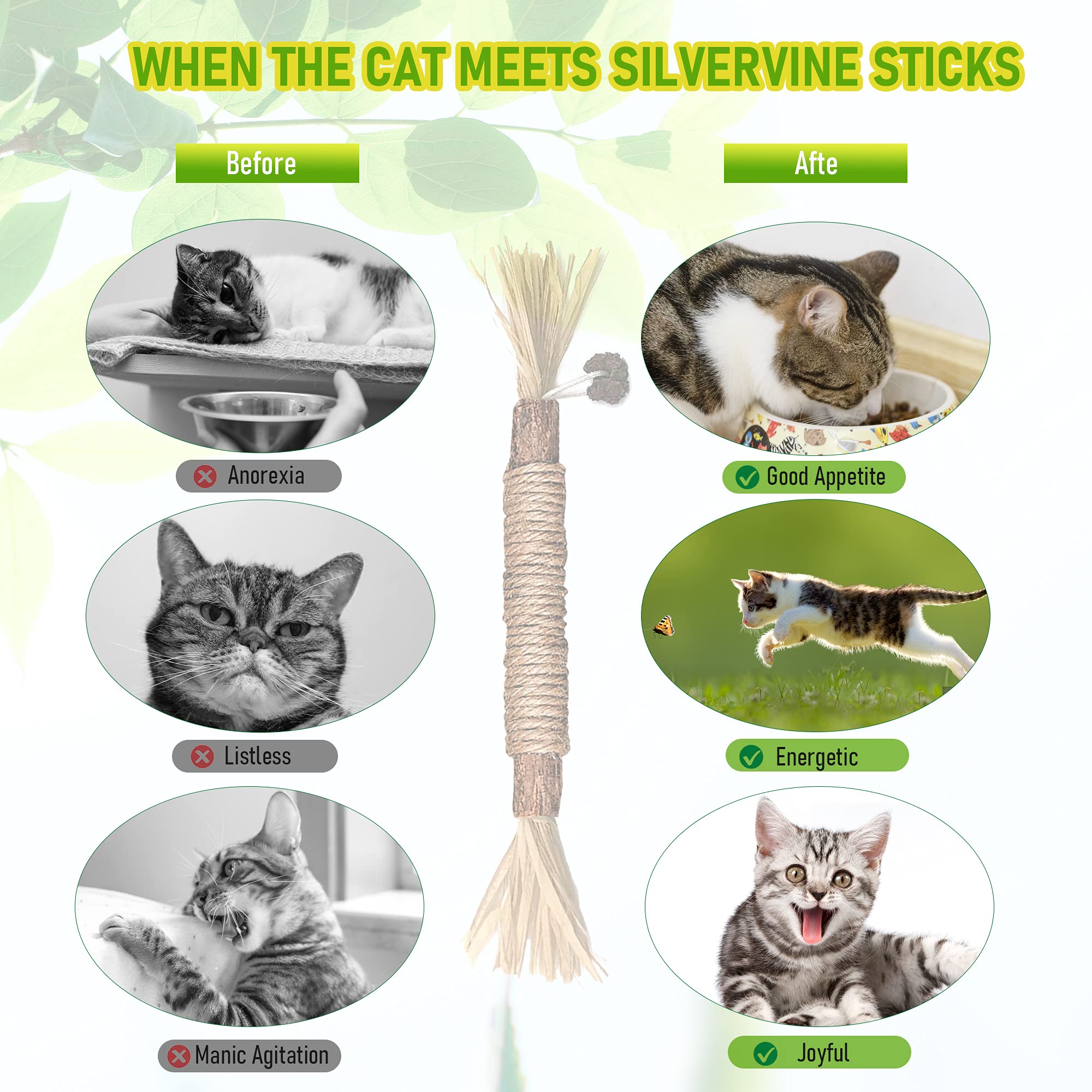 Silvervine Sticks Cat Chew Jouets pour les chats intérieurs soins dentaires nettoyage des dents