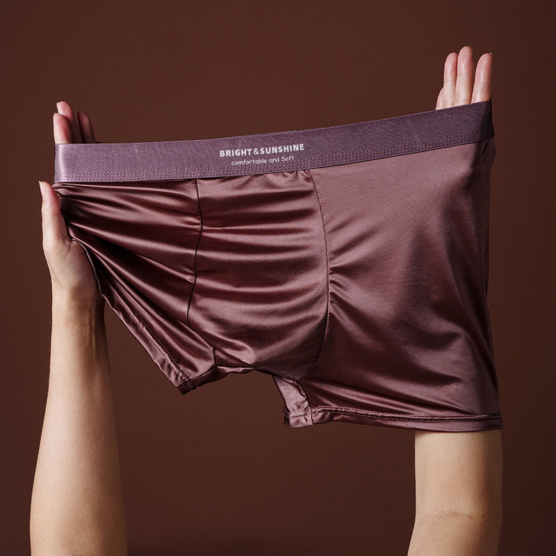 Sous-vêtements Hommes 10A Boxer antibactérien Breathable Sans couture