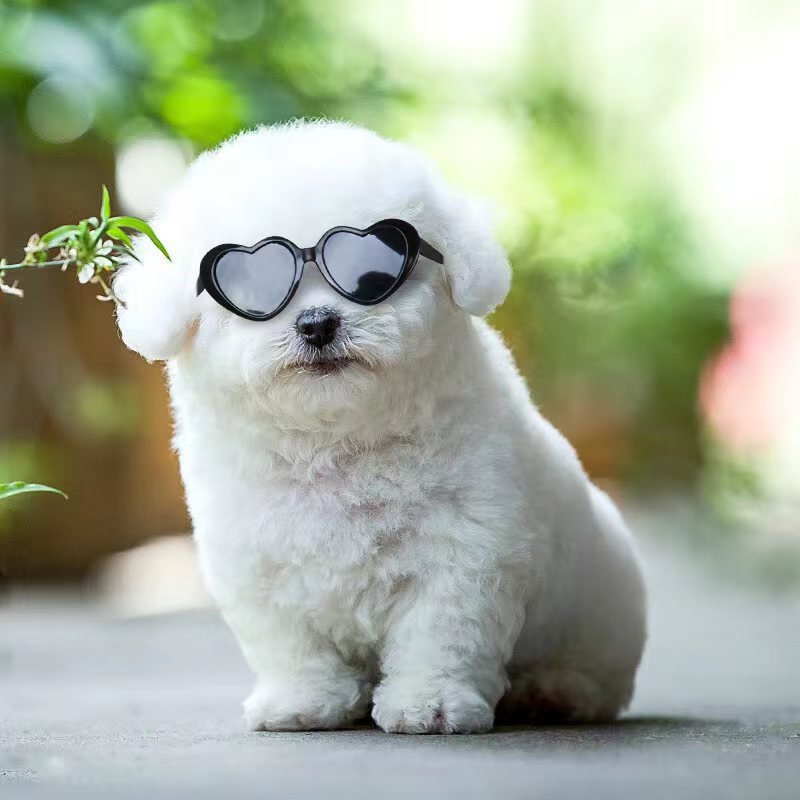 Lunettes de soleil poupée Pet Toy Accessoires