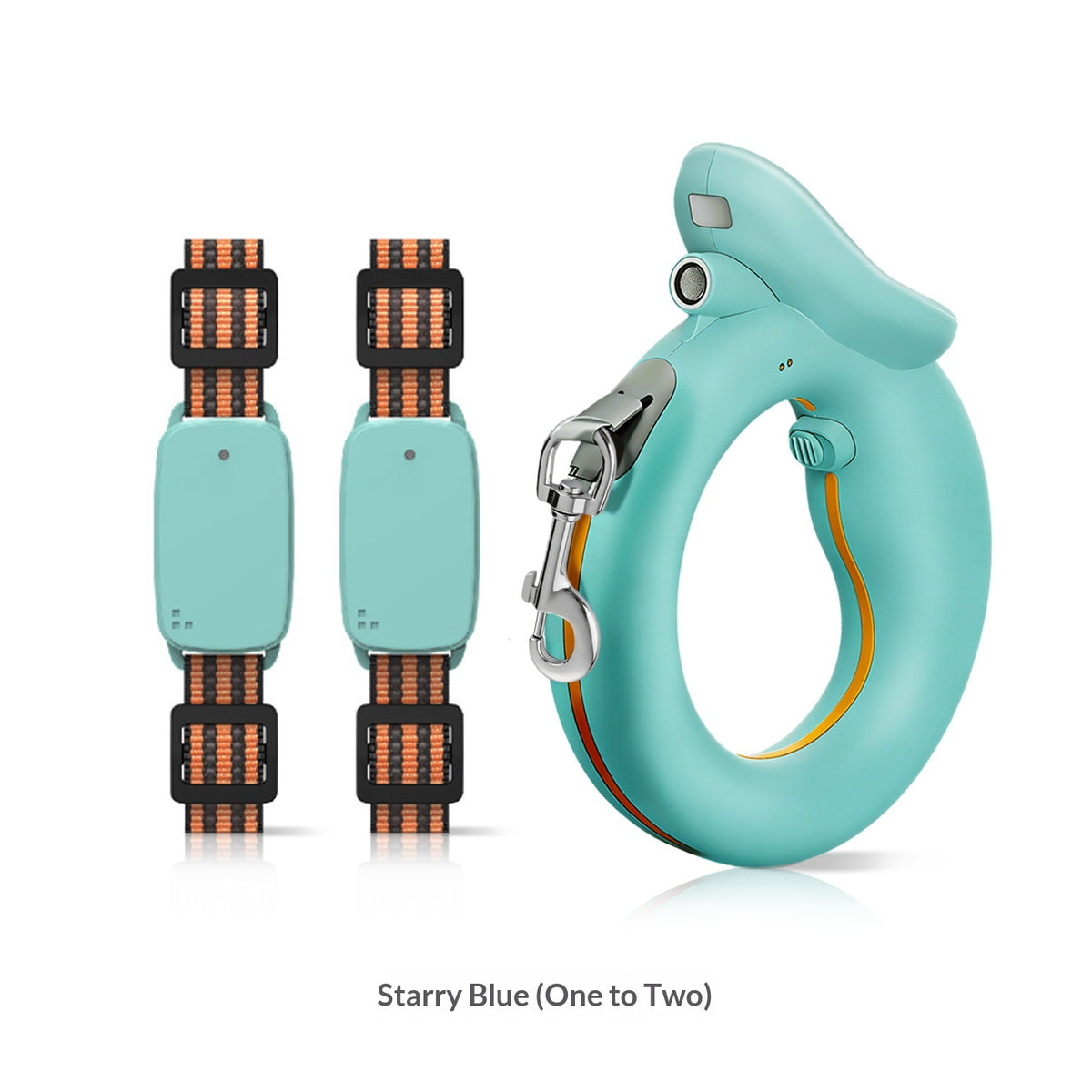 Comfortable dog leash for daily walks