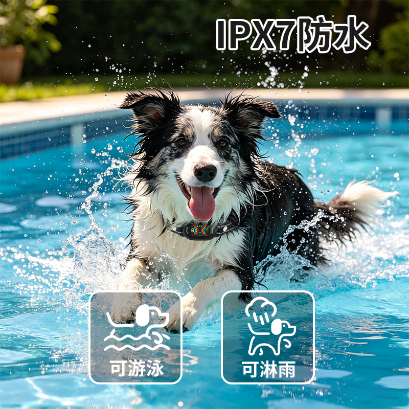 Arrêt automatique de barre intelligente AI -Dog