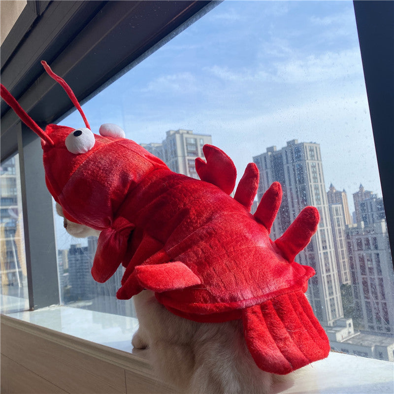 Halloween Cat Lobster Vêtements Année Noël