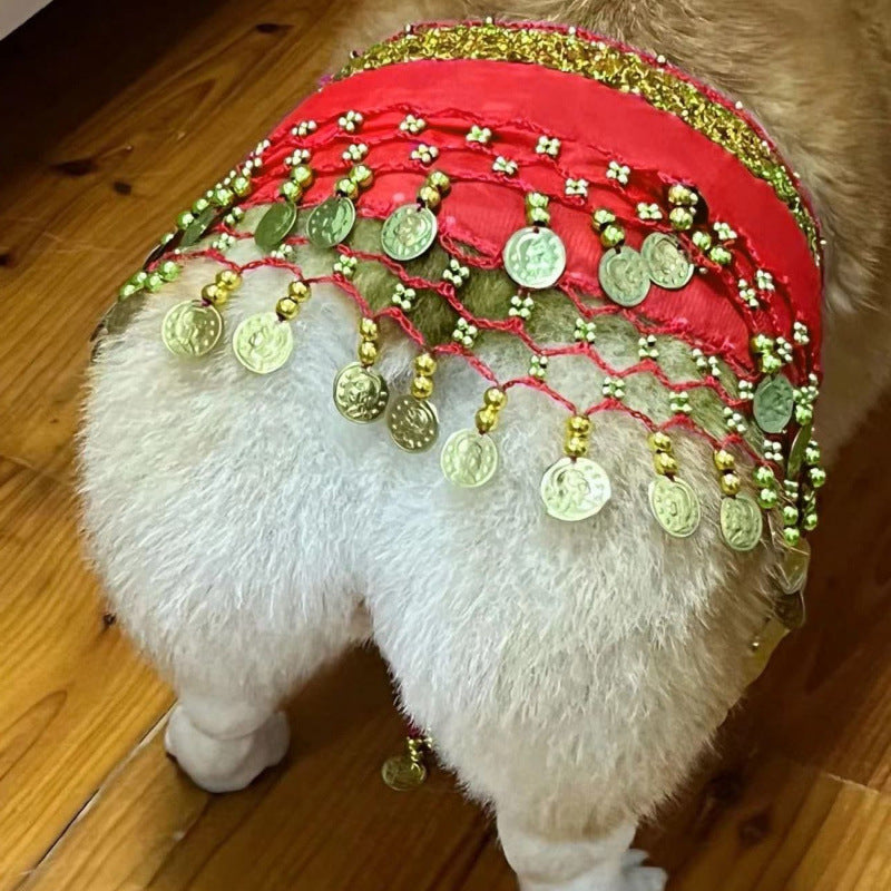 Danse Belly Fart Chaîne à paillettes Chaîne de taille Enthousiastique chien Fart Hip Scarf