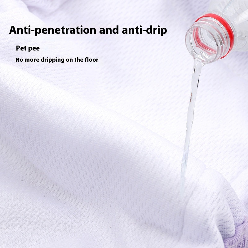 Accueil Lavable Pantalon de sécurité pour chiens Menstruel Pet Pantalon physique