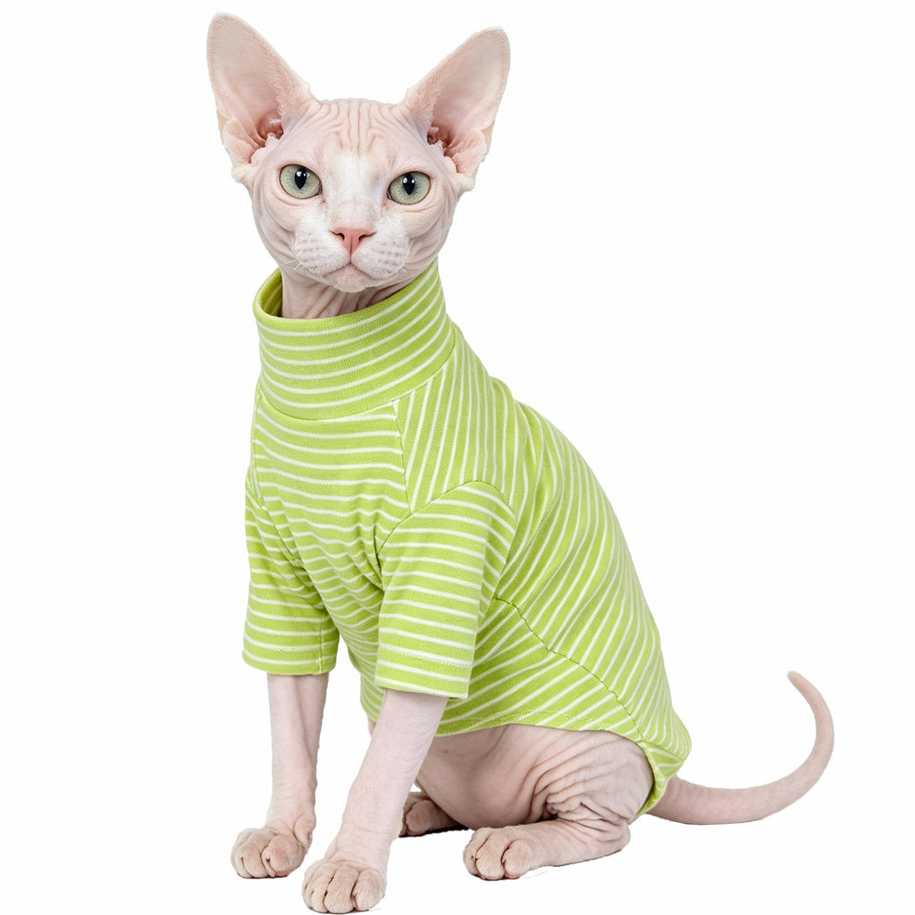Vêtements de chat pour chats uniquement