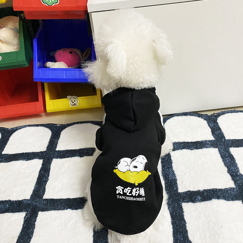 En automne et en hiver, les vêtements de chien sont mignons