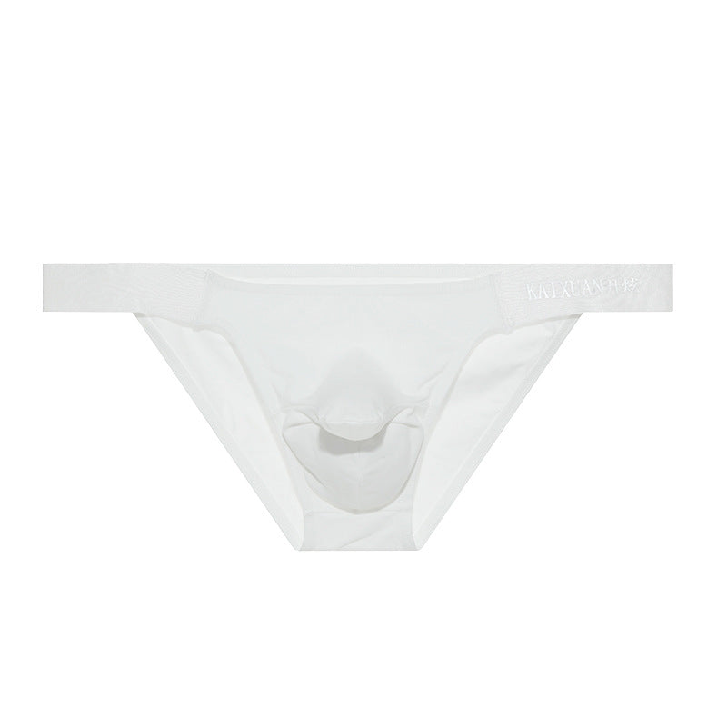 Sous-vêtements Triangle pour hommes sexy en coton