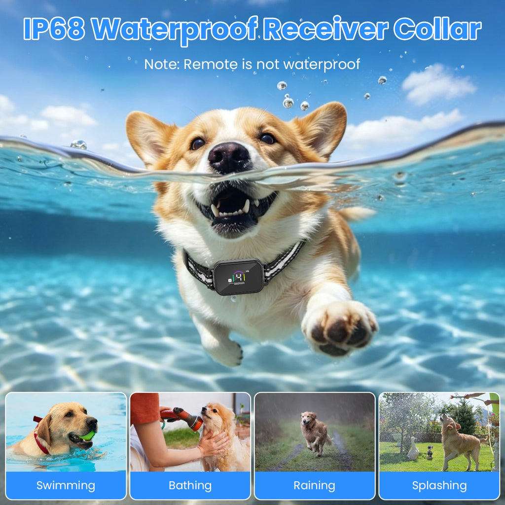 1Pc 2 en 1 chien Choc et collier de barque collier d'entraînement de chien avec télécommande rechargeable IP68 Wat