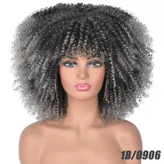 Coiffure africaine pour petites cheveux bouclés