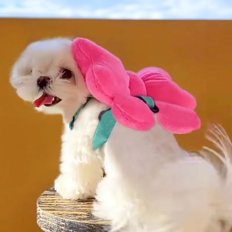 Pet Bow Cost Strrap Traction Rope de marche chien corde et chat sortir mignon Bow Self Bac