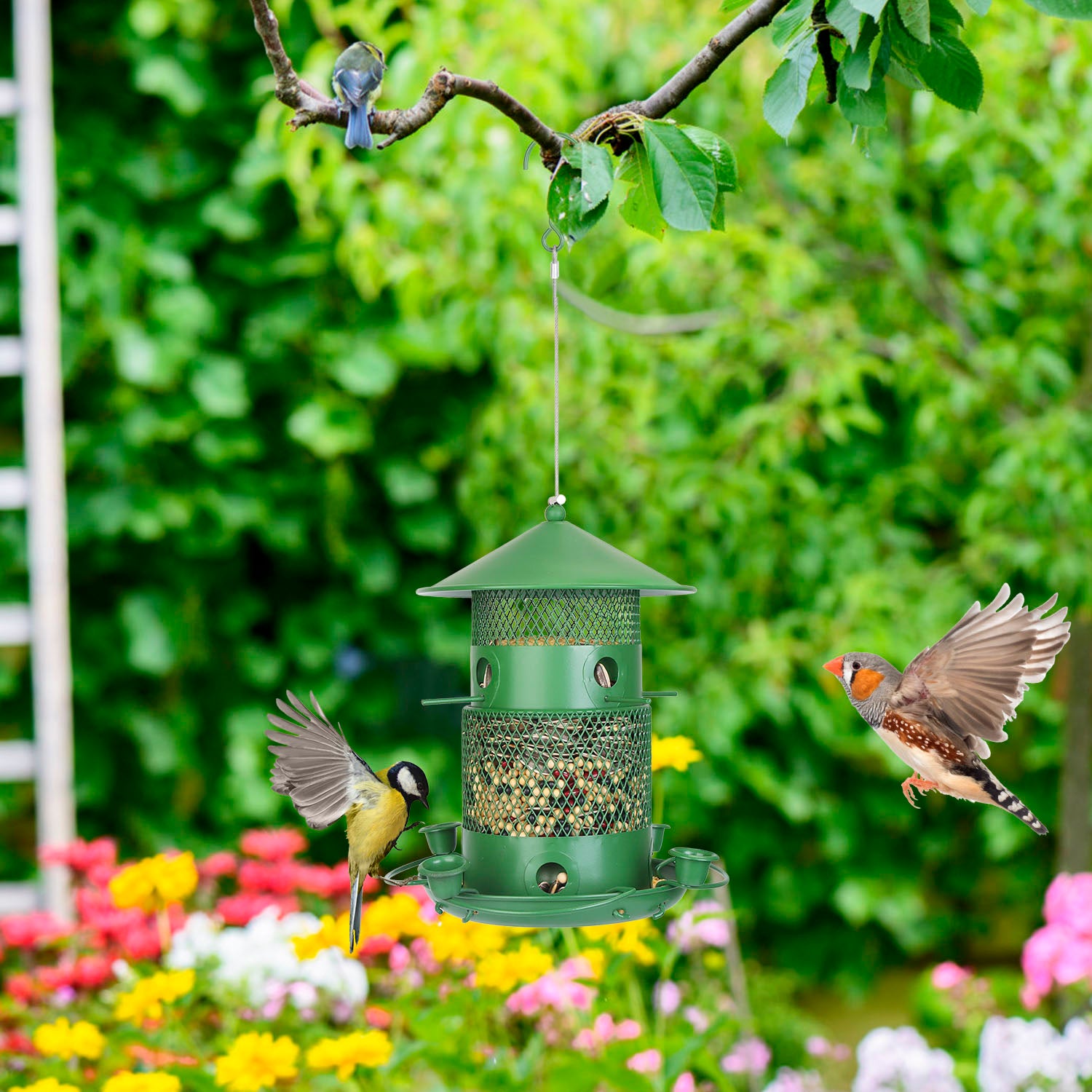 1Pc Wild Bird Feeder Squirrel-Proof Chew-Proof Metal Bird Seed Feeder Outdoor Hanging Bird