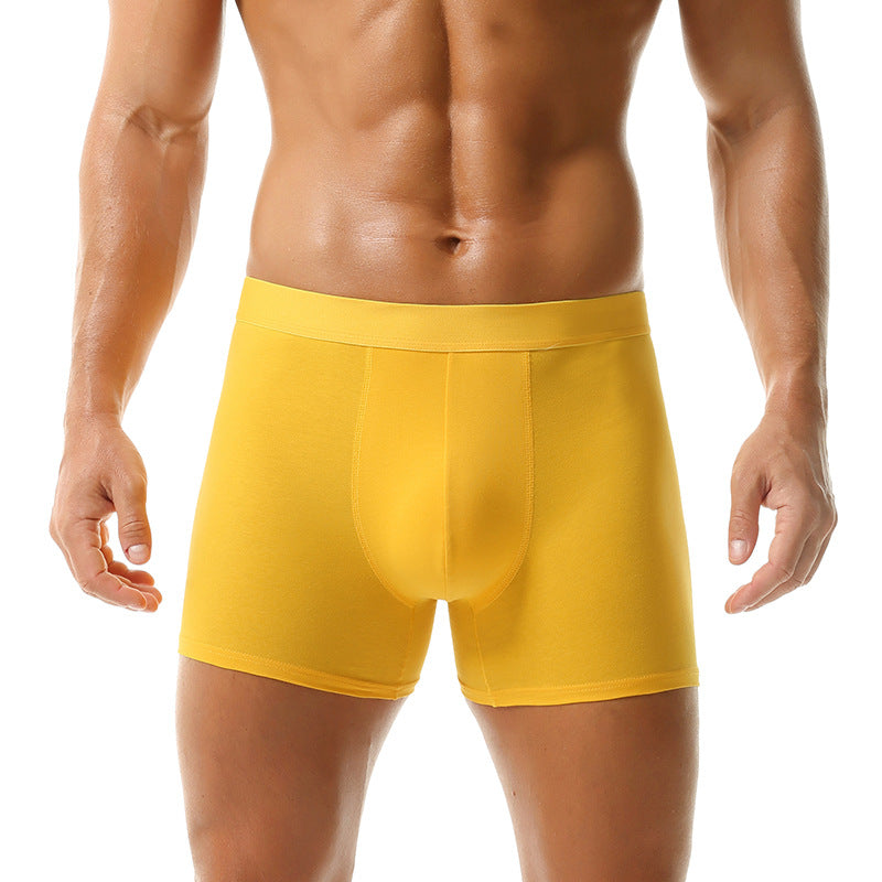 Slip de boxer en coton respirant pour hommes Plus Taille Intimates tout-saison