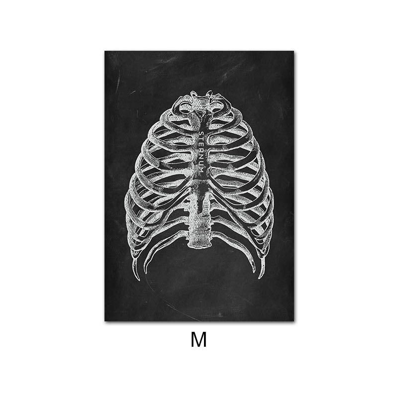 Peinture sur toile du système d'organes de squelette d'anatomie humaine