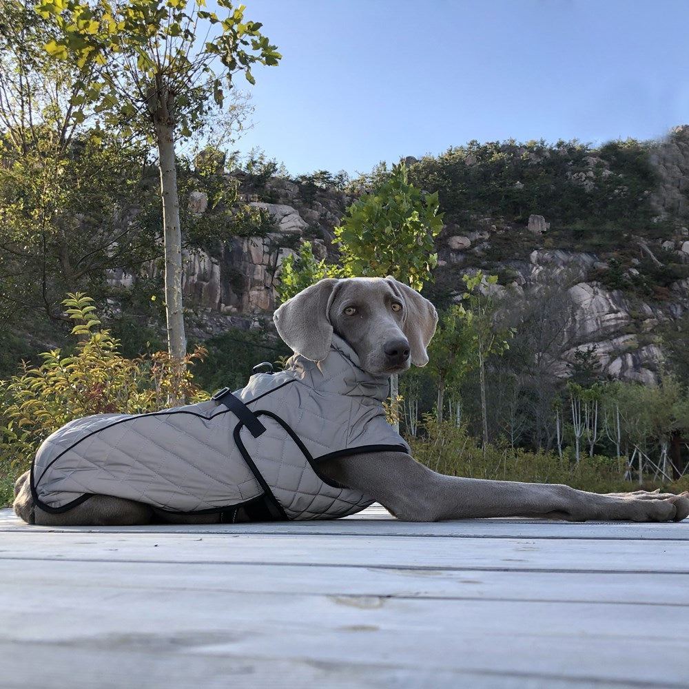 Vêtements pour animaux Veste tactique réfléchissante pour chiens