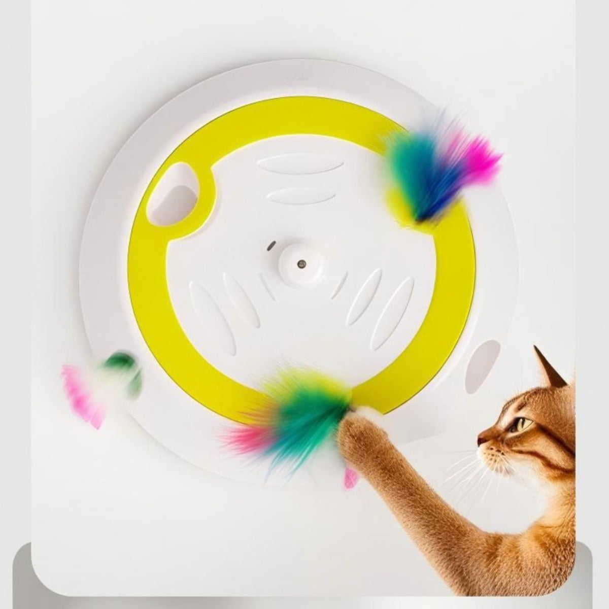 Jouet de chat interactif