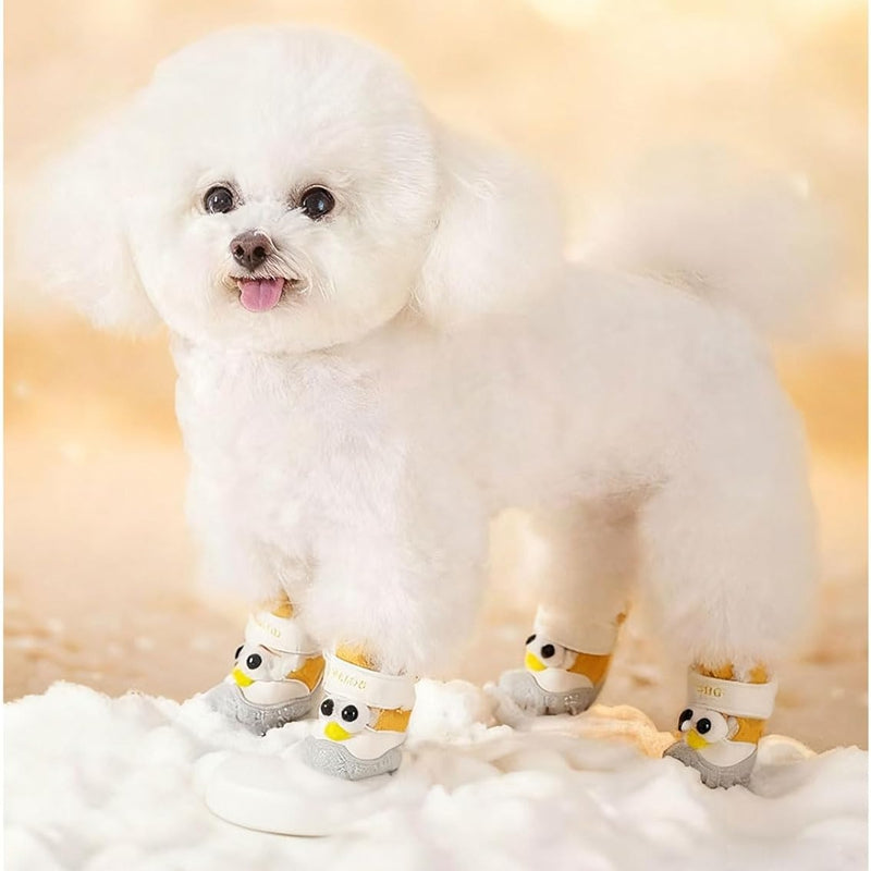 Chaussures d'automne et de chien d'hiver