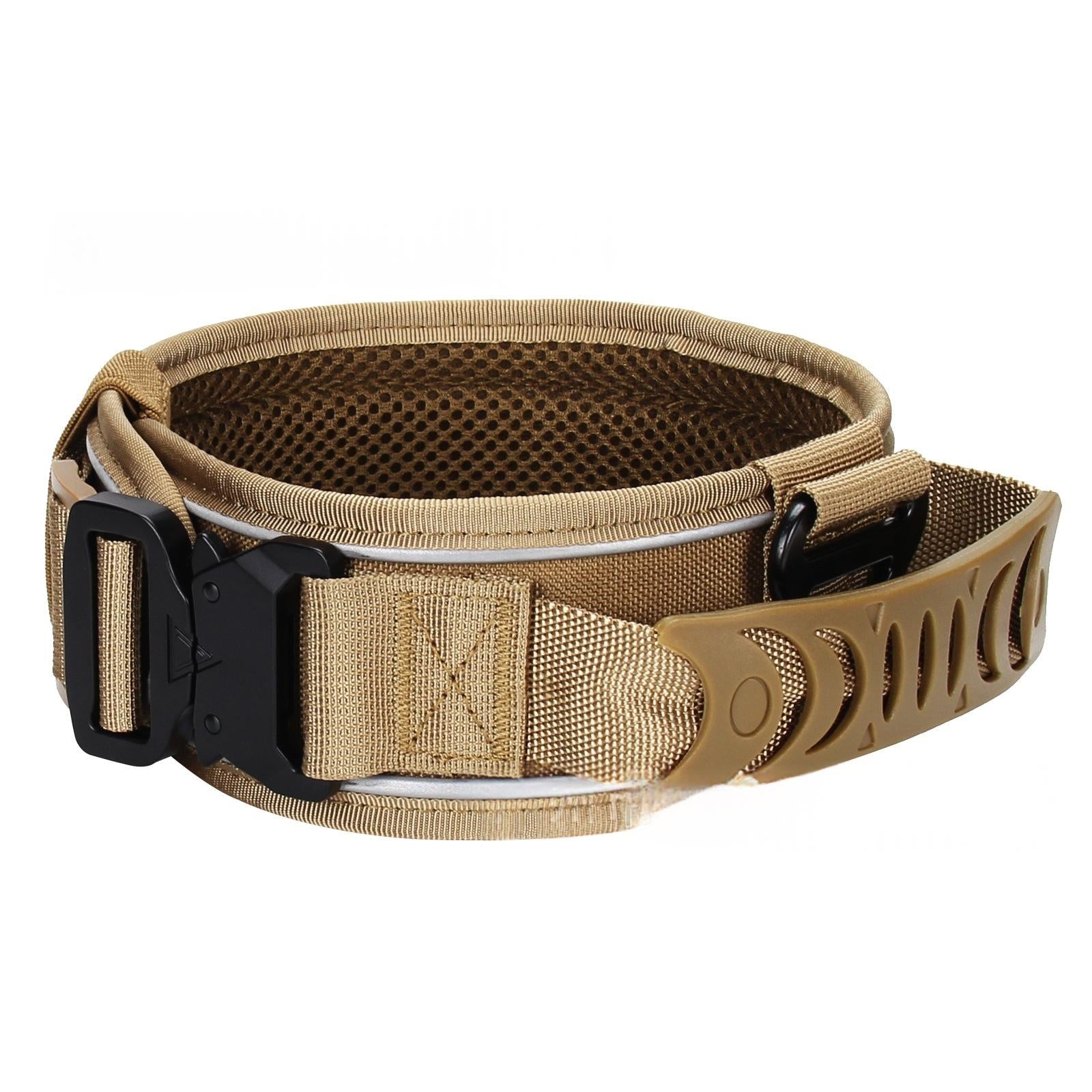 Collier de chien en nylon réfléchissant et laisse extérieure pour animaux de compagnie