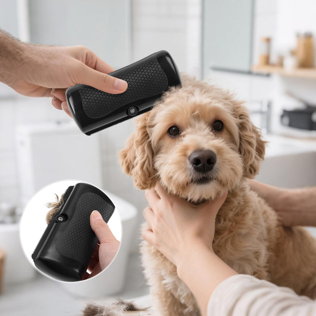 Brosse de chien pour la couverture