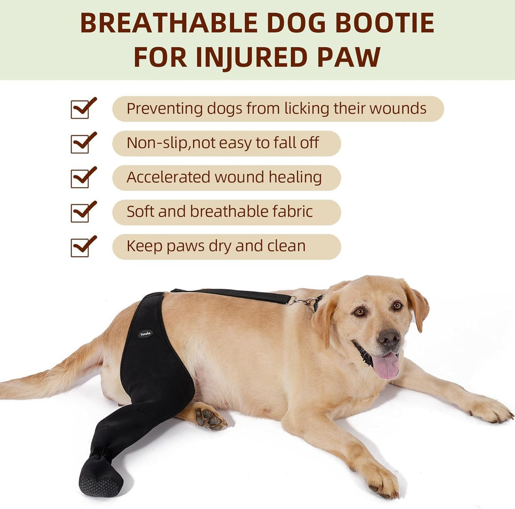 Chaussettes pour chiens pour empêcher les pattes de câlin