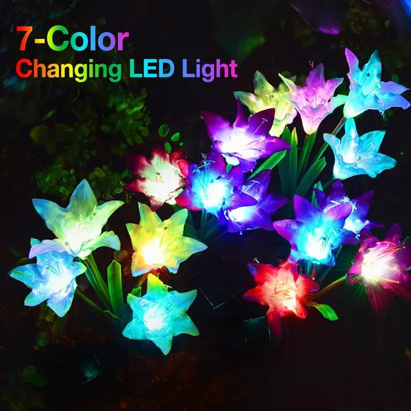 Outdoor Solar Lights