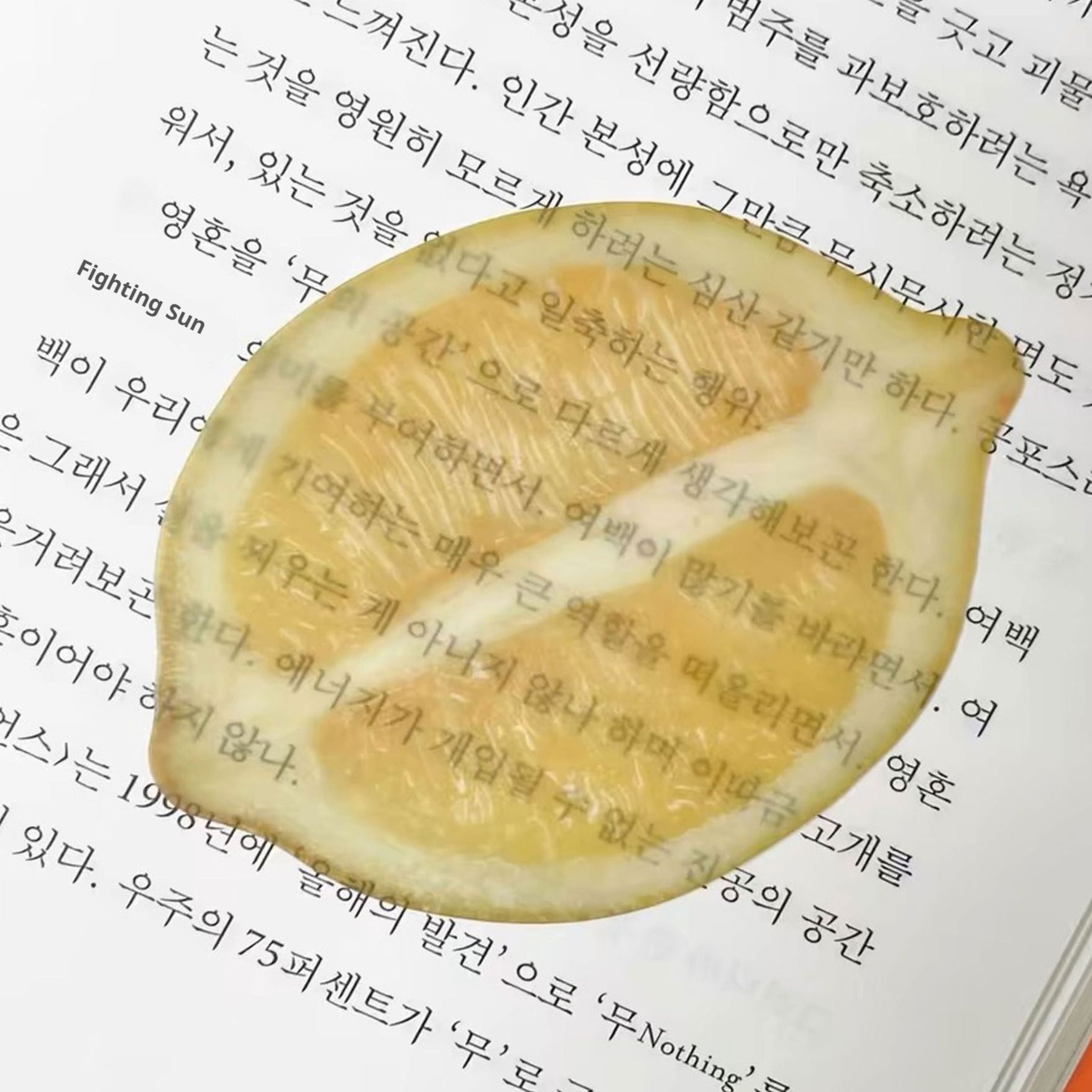 Cute Fixed Book Photo Signet Cartoon Creative Watermelon Fruit Signet
