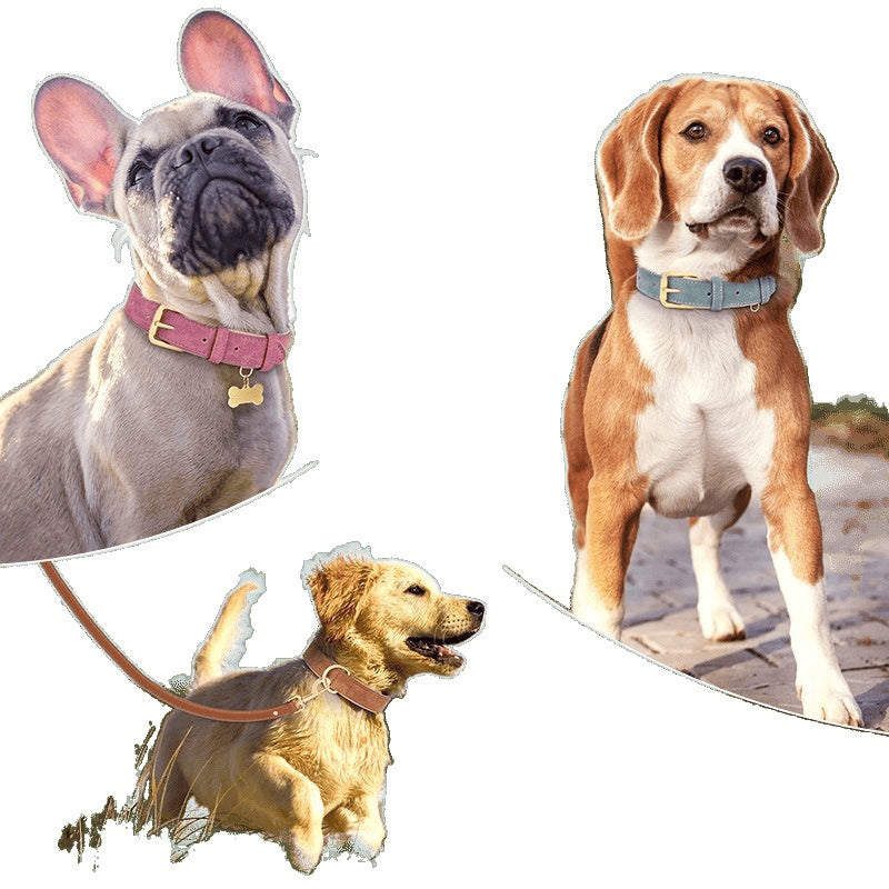 Collier de chien en cuir double couche créatif et polyvalent
