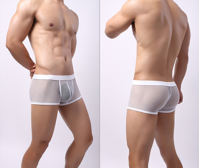 Sous-vêtements pour hommes Mesh Mesh Respirant Boxers Low Waist Transparent Boxers Youth Cool Short