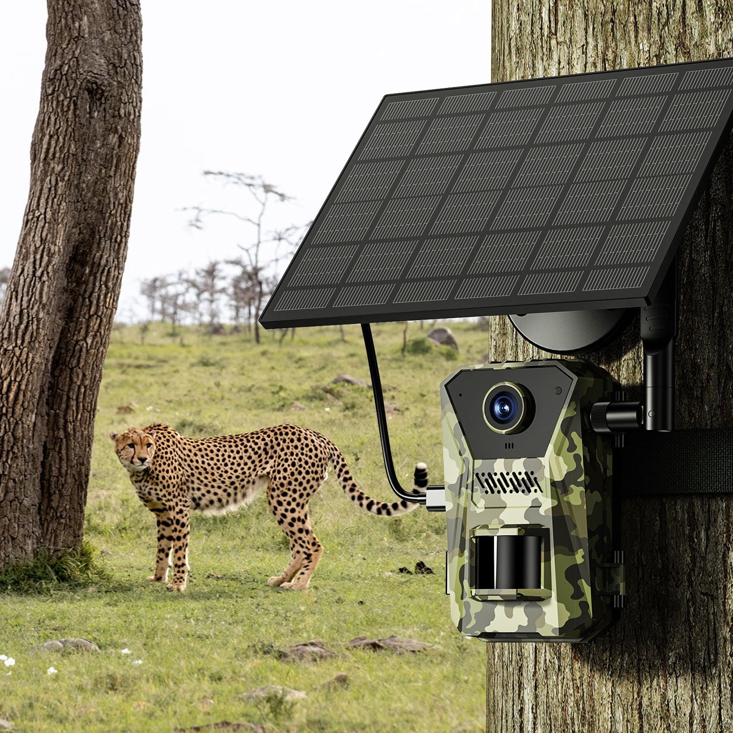 1Pc 4G 4K 30FPS Solar Trail Camera Outdoor Wildlife Camera Motion activé IP66 Waterproo