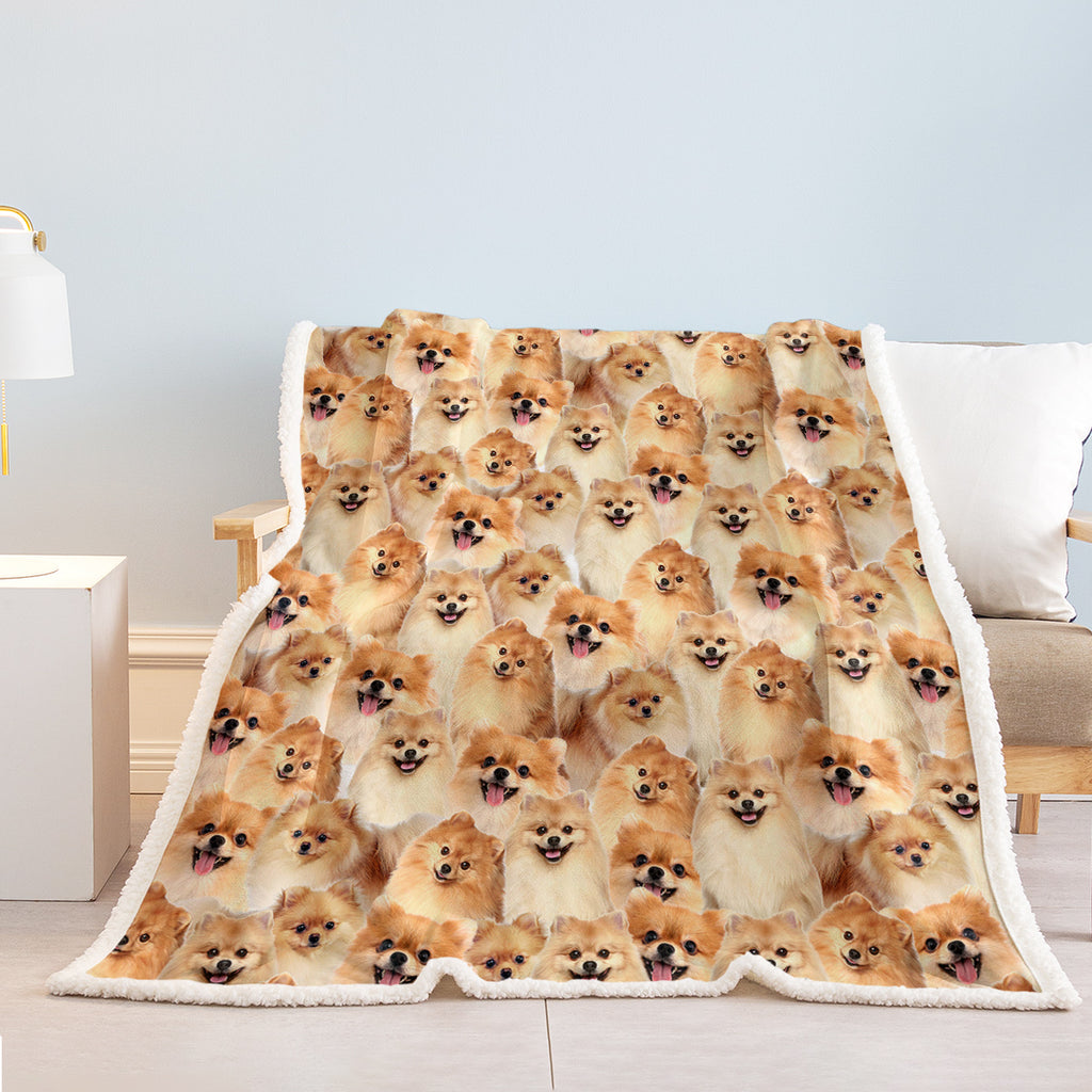 Pattern Poméranie Flèche Blanket filles Brown Sherpa Blanket mignon chien animal léger W